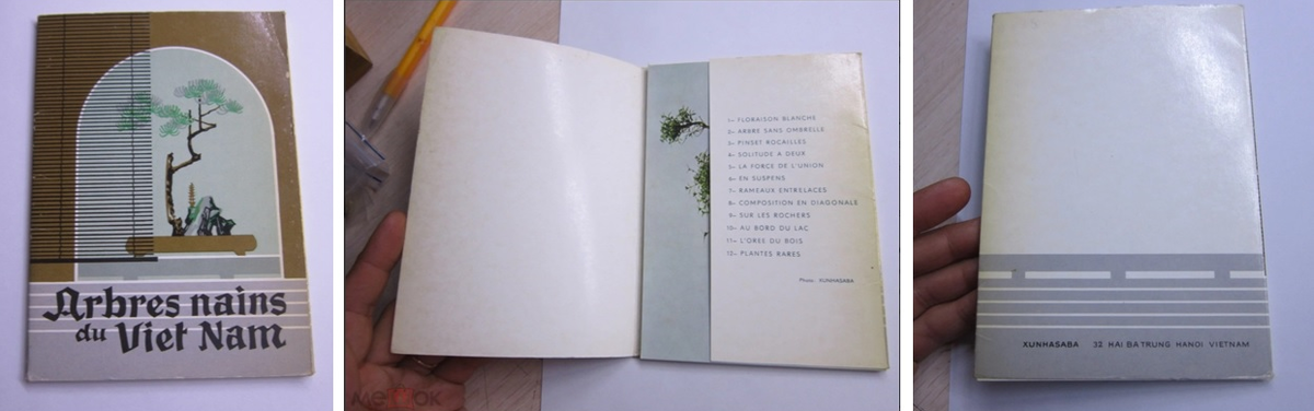 Источник: https://meshok.net/item/282131200_Карликовые_деревья_Вьетнама_Arbres_nains_du_Vietnam_Бонсай_полный_набор_12_штук_чистые