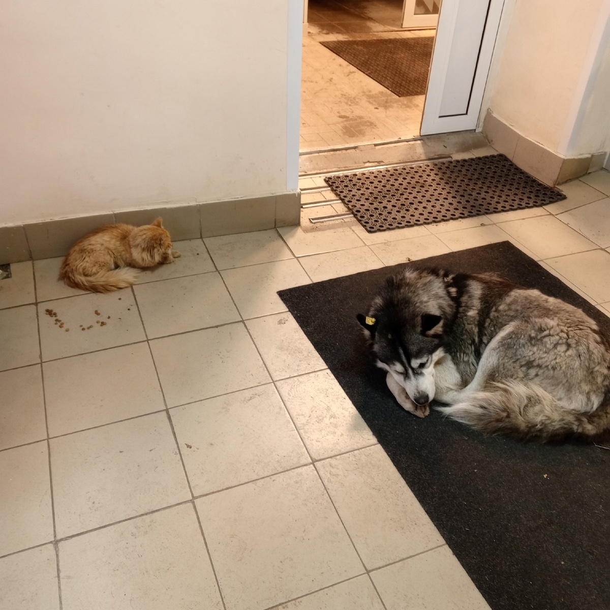 Хотел бы кто-то из нас вот так?  А ведь им не положено органов социальной опеки.