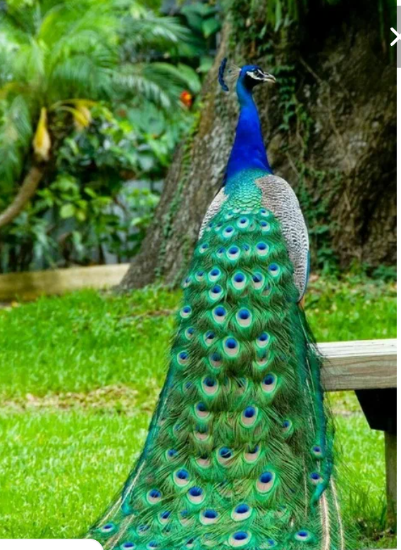 Фото из интернета 