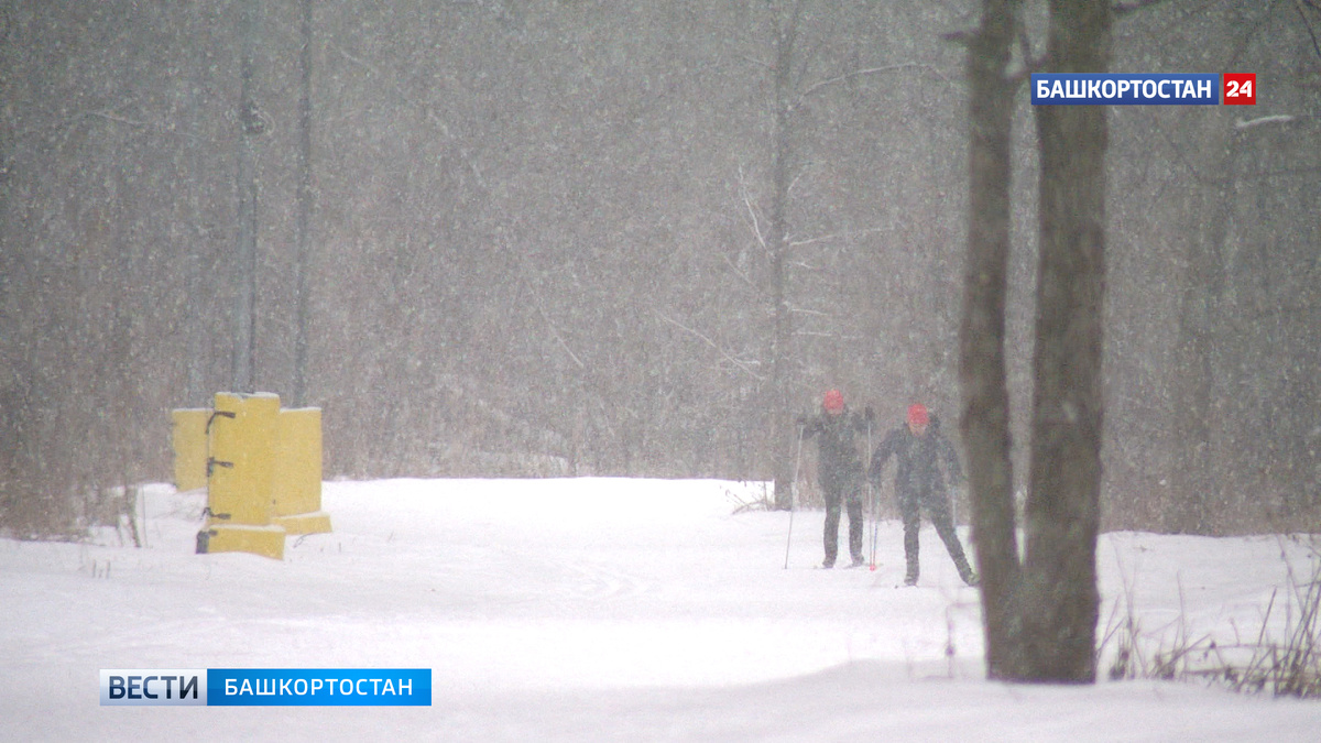    Небольшой снег и гололедица: синоптики Башкирии озвучили прогноз на 30 декабря