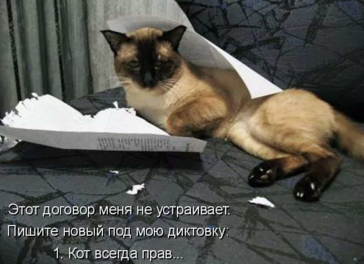 источник Яндекс-картинки