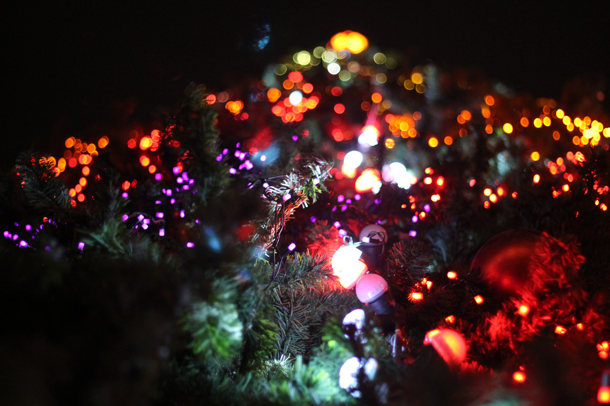 Фото из далекого 2013 года (у меня появился первый 50mm 1.8 II)