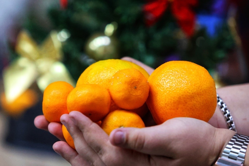    Фото: © Ekaterina Sychkova/ URA.RU/ Global Look Press