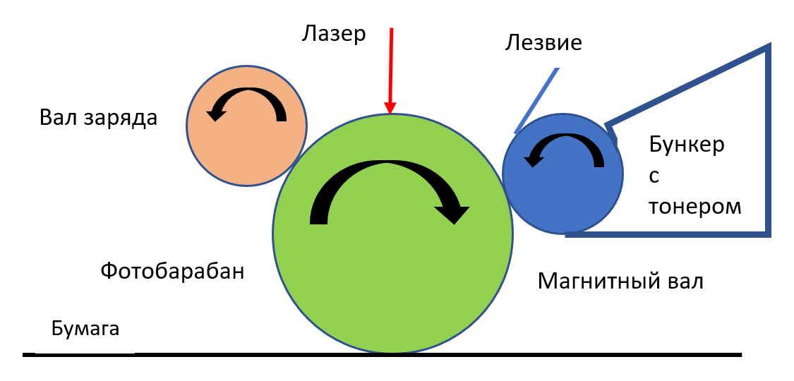 Упрощенная схема устройства картриджа лазерного принтера