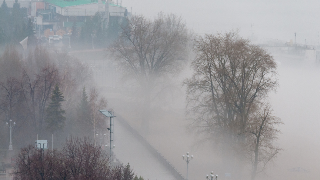    фото: Svetlana Vozmilova/Global Look Press