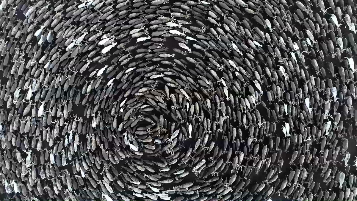 Ощущения человека, когда он первый раз попал в центр Москвы.