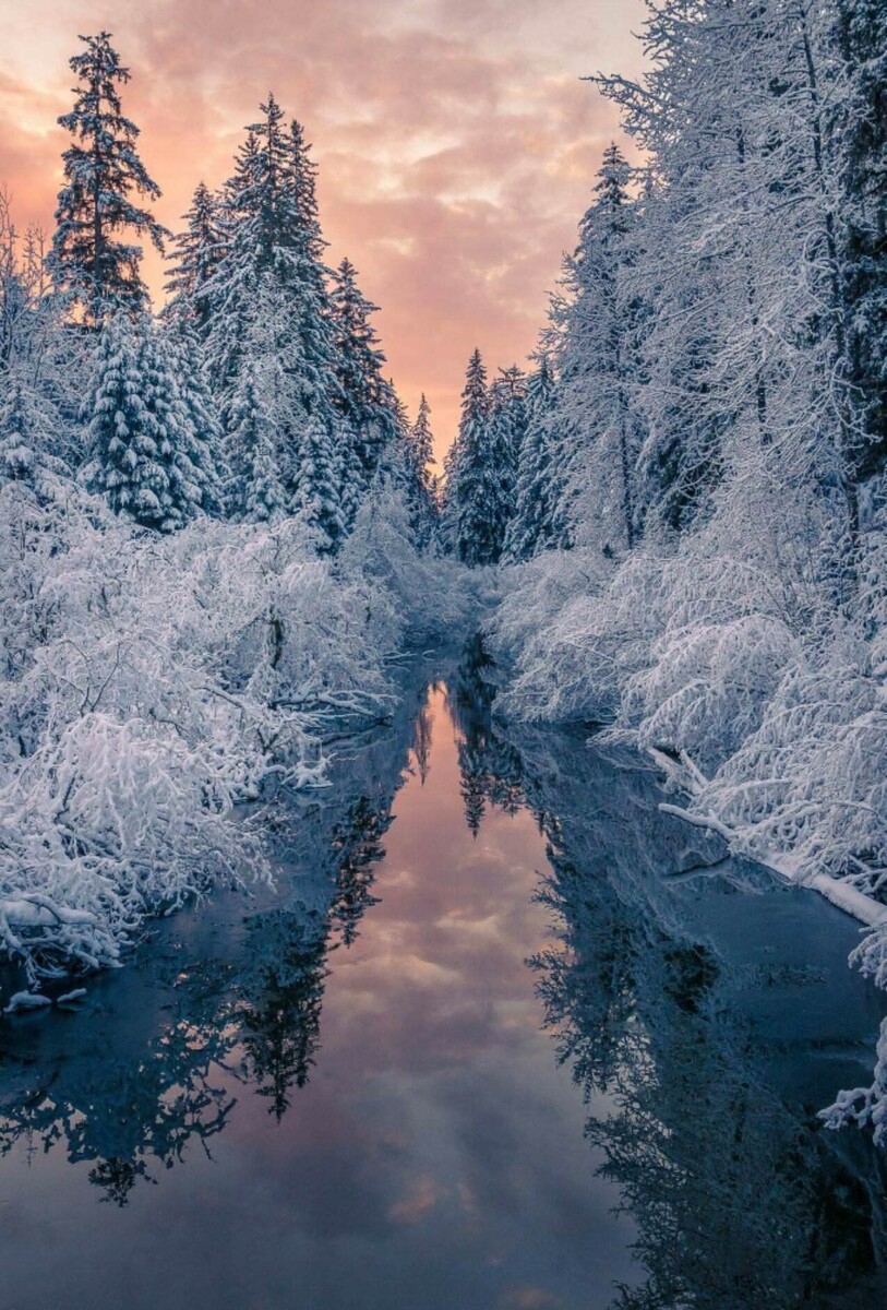 Фото взято из интернета.