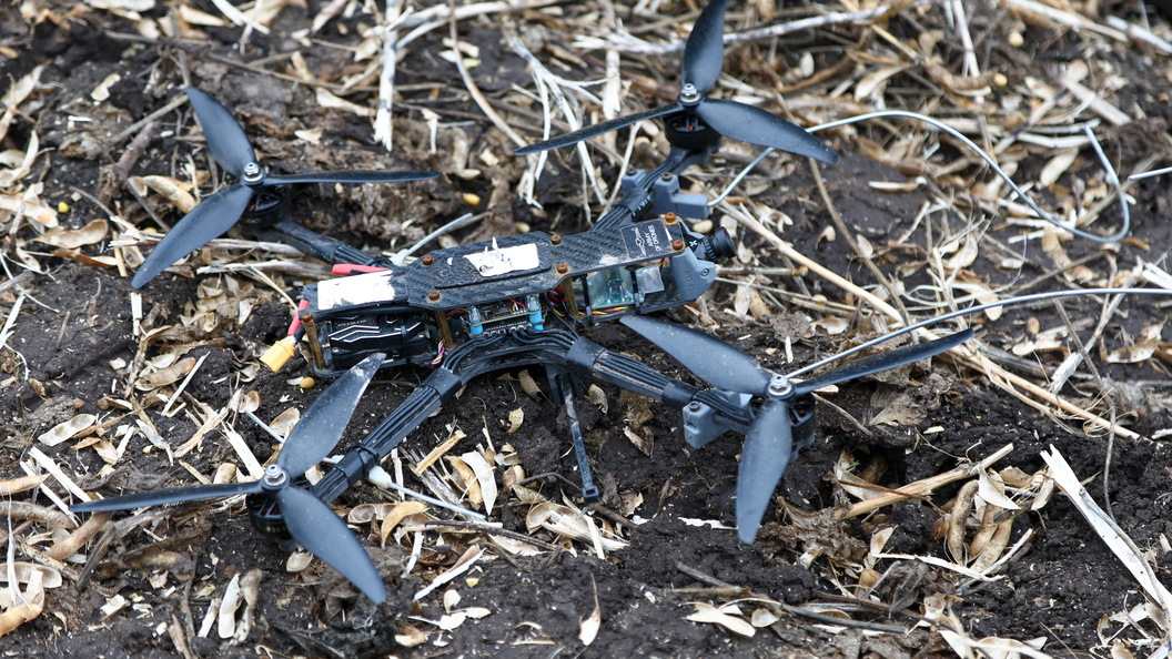    Фото: Shatokhina Natalya/news.ru/Globallookpress