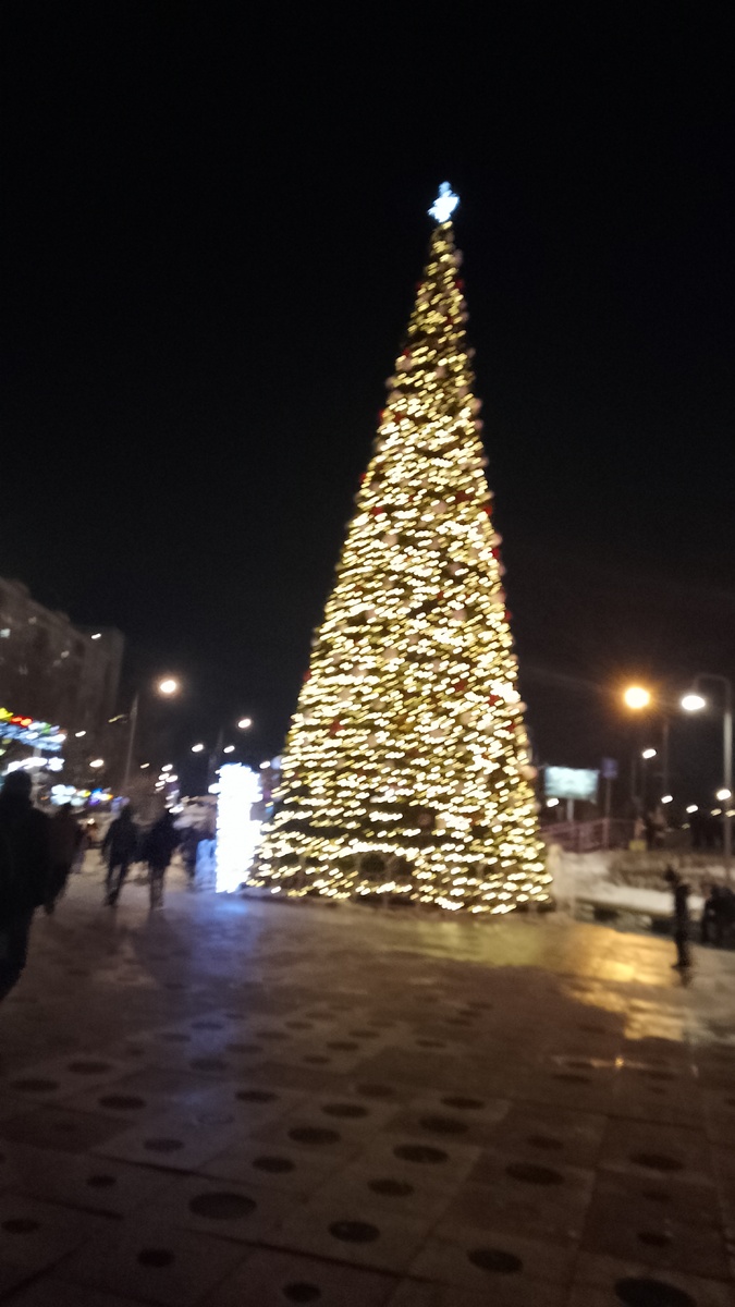 Смазанное фото ёлки