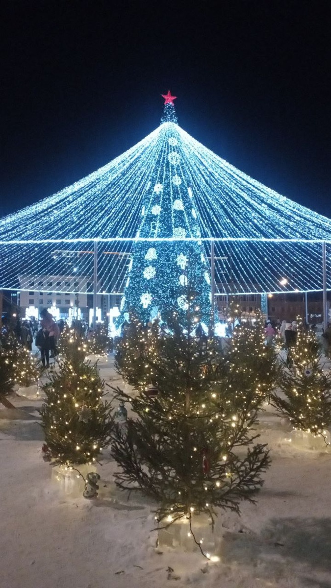 Наша городская елочка ! 
