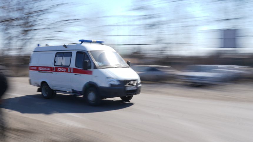    Фото: ИЗВЕСТИЯ/Дмитрий Коротаев