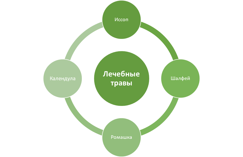 Мои любимые лечебные травы