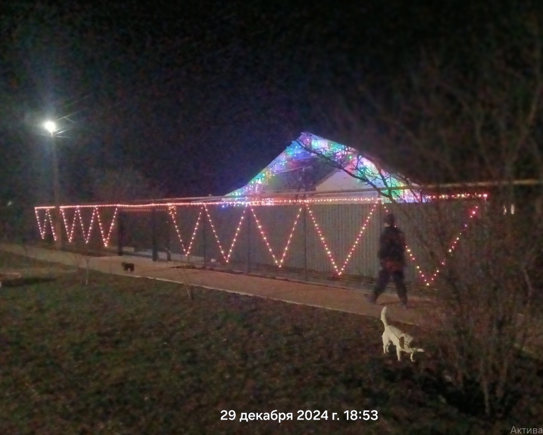 Вечерняя прогулка с собаками.