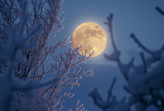    Фаза Луны сегодня, 31 декабря: встречаем новолуние, бережем собак от салютов