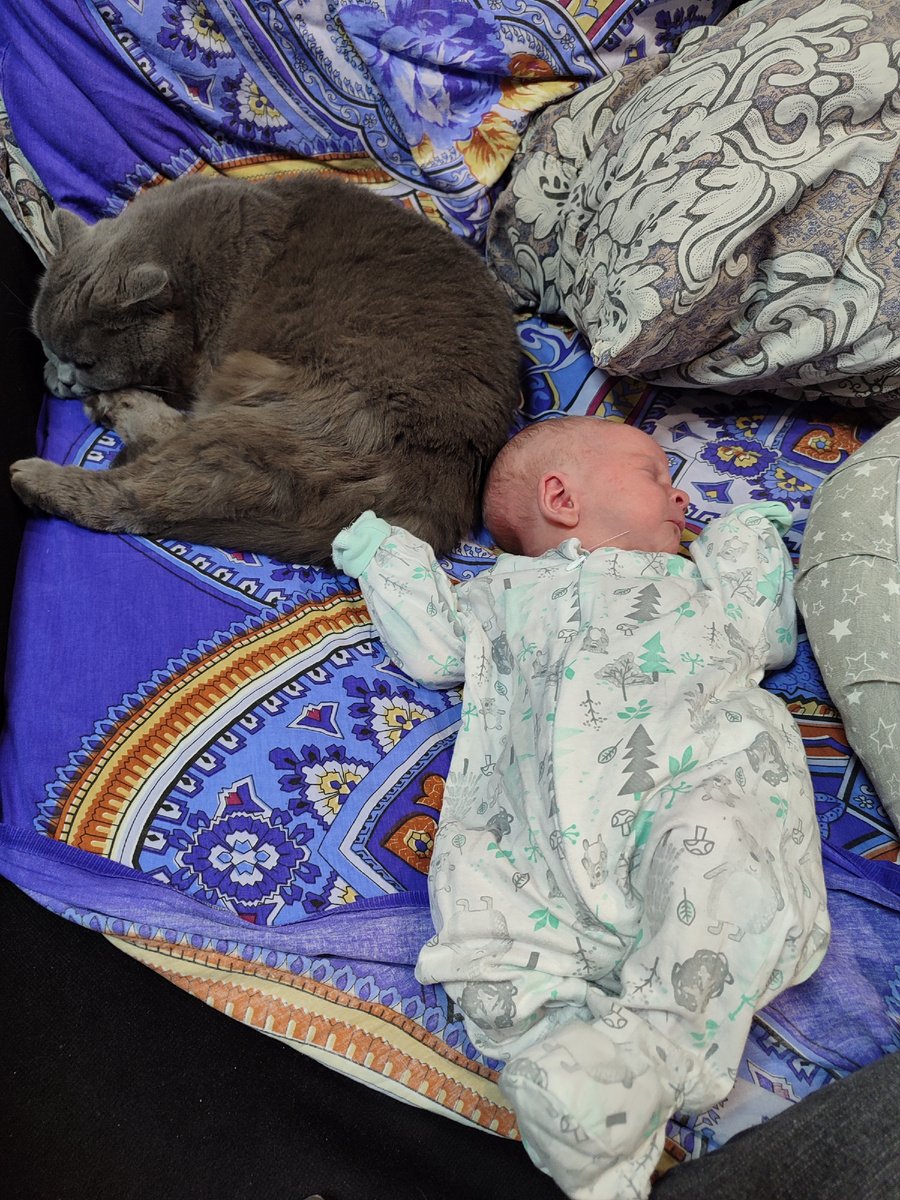 20-дневный Стëпа и Кука😸