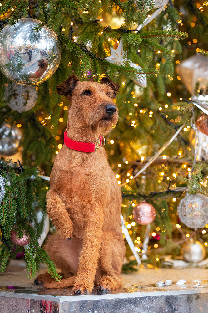 В ожидании чуда 