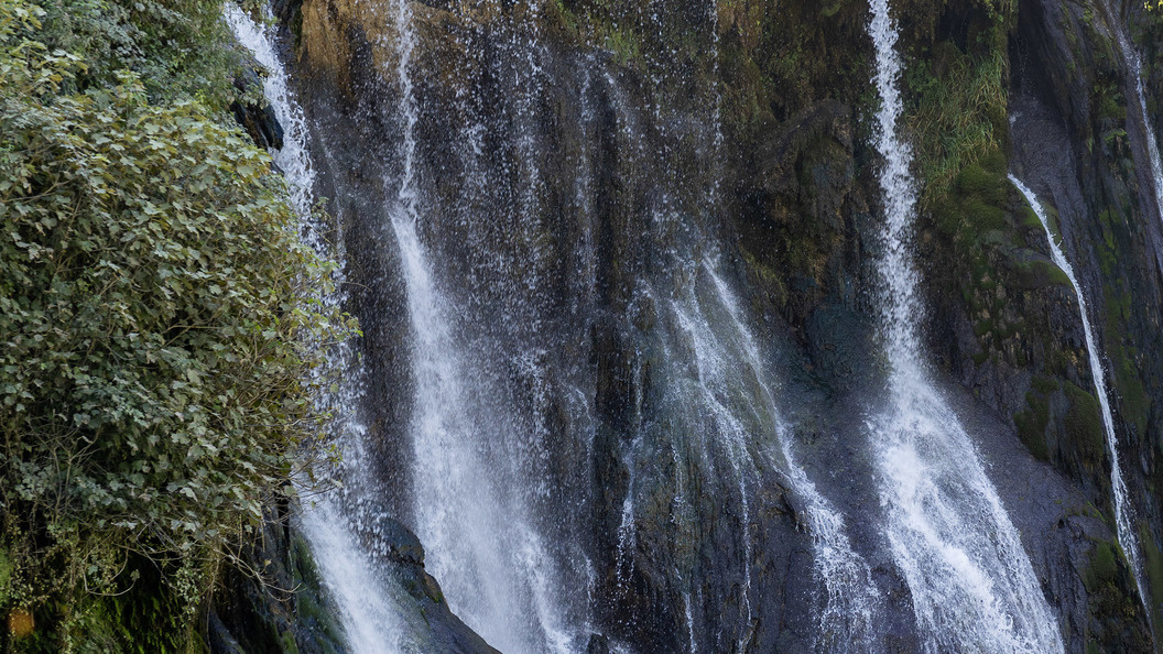    фото: Aleksey Smyshlyaev/Global Look Press