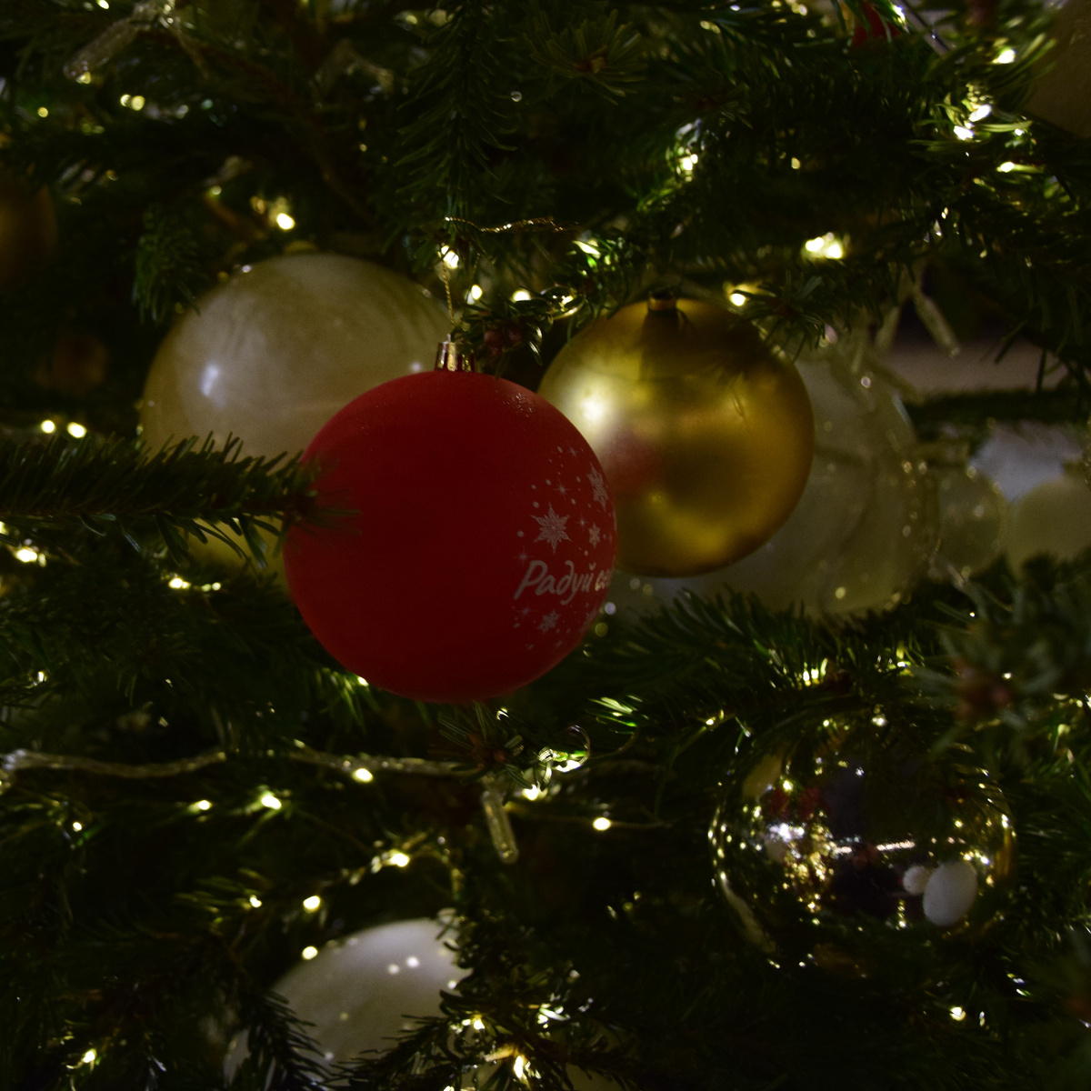 Фото автора канала "Приключения Тома Сойера".