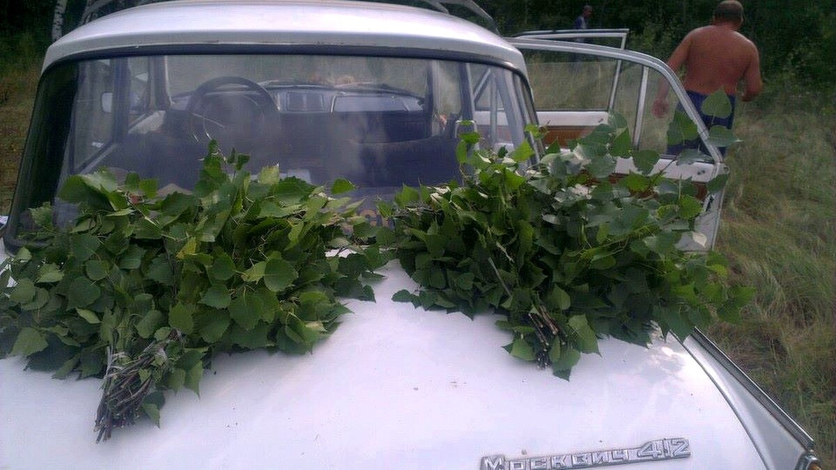 Готовь веники к новогодней бане летом 