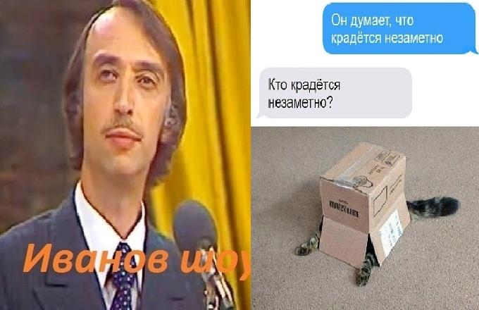 А.Иванов и кот в коробке.