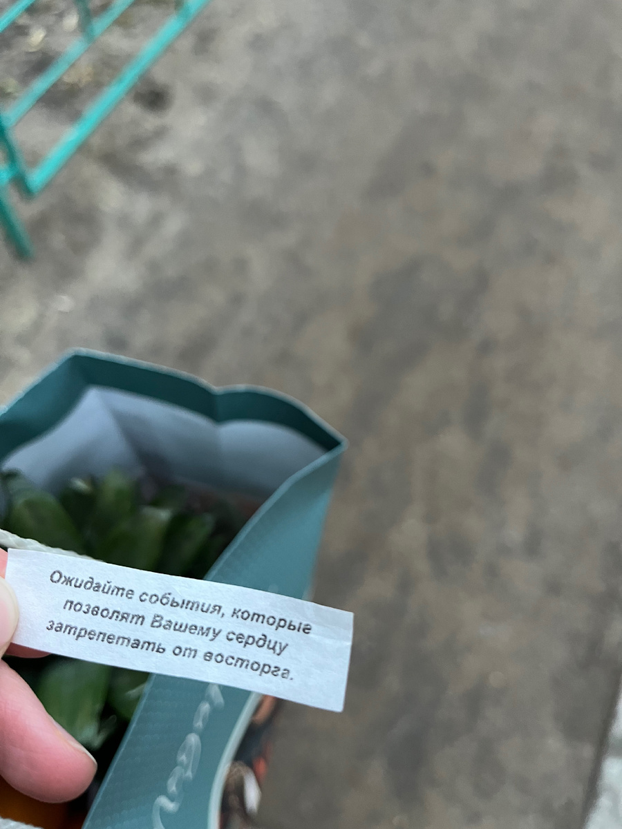 Дорогие, всем Доброе утро!!!!☀️ 