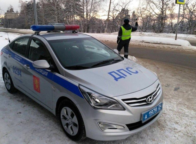    Фото: красноярск.24.мвд.рф Алина Лакшина