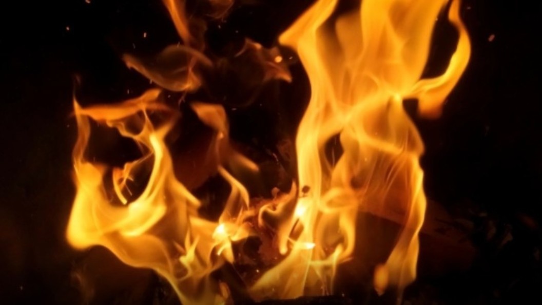    Maksim Konstantinov/Globallookpress