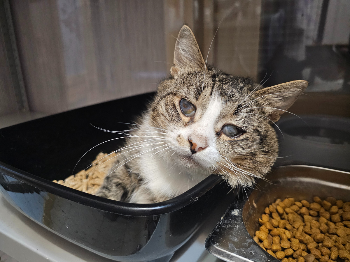 Фото автора. Арашик.