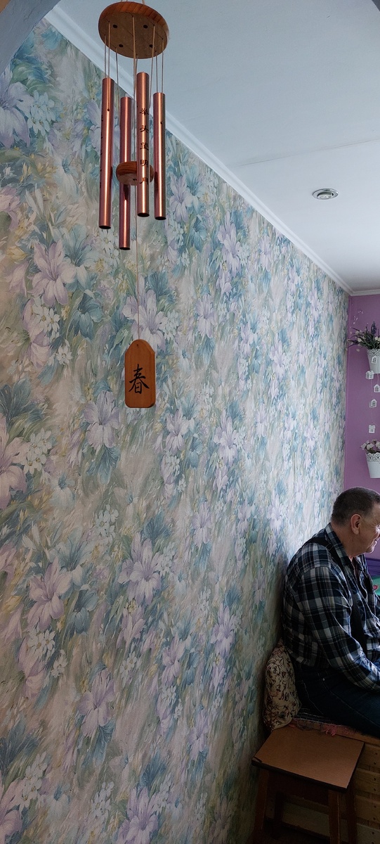 У брата  и его жены мне нравятся их смелые эксперименты с ремонтом. А Василий уже у стола...