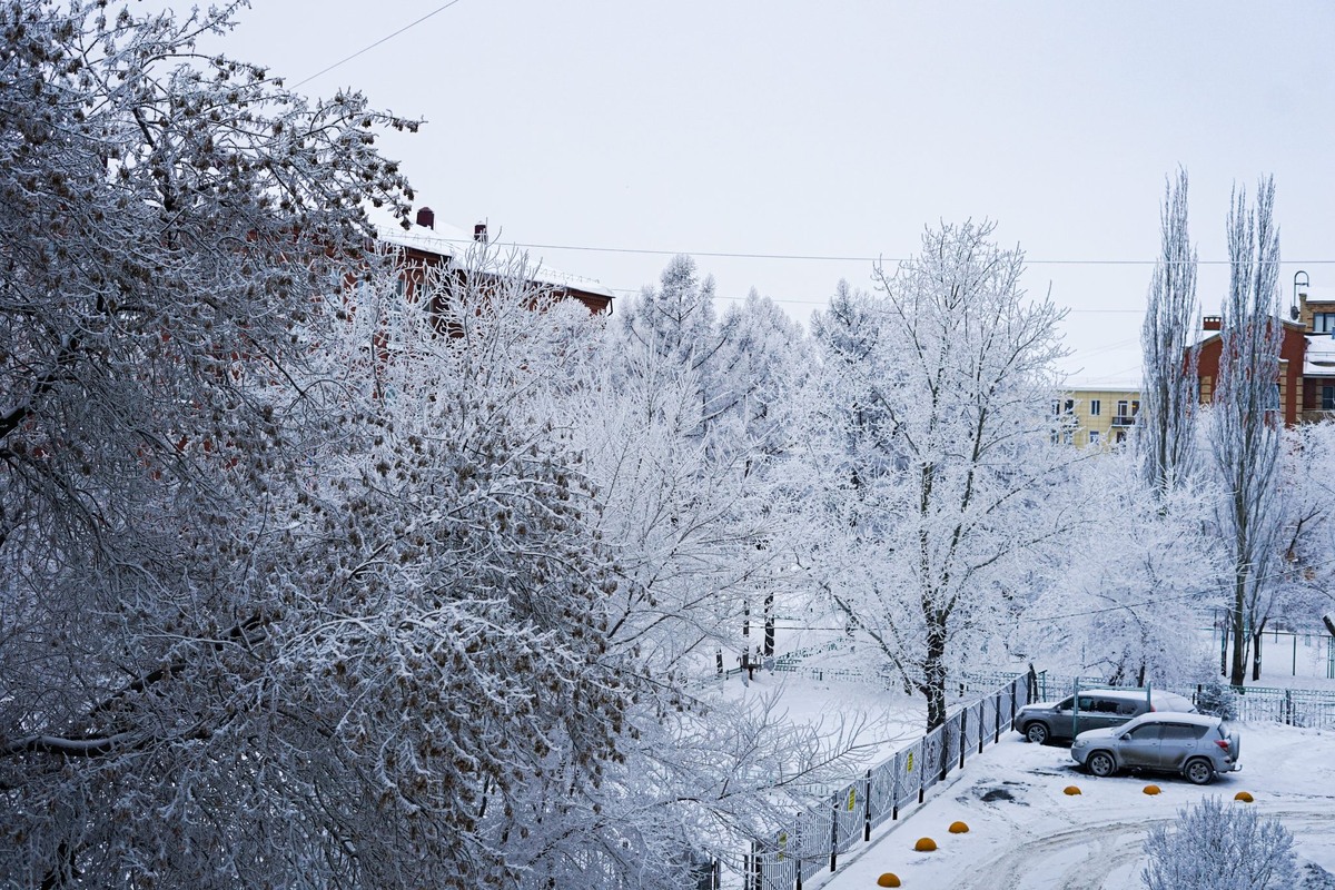    Фото: Тамара Башаева