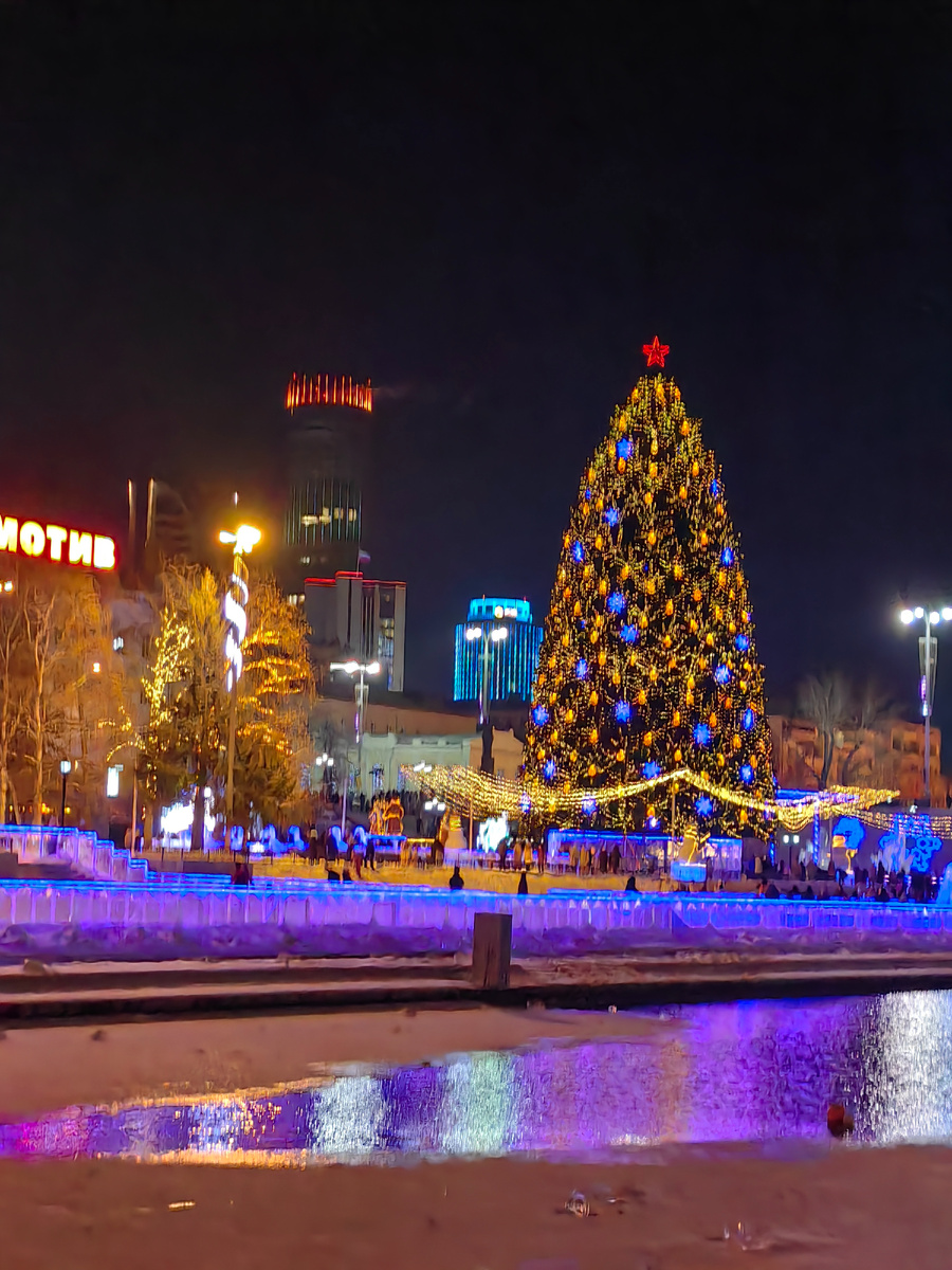 Наша красавица елочка.