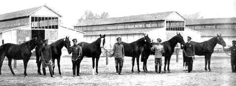 На всероссийской конской выставке в Москве. Фото 1908-го года
