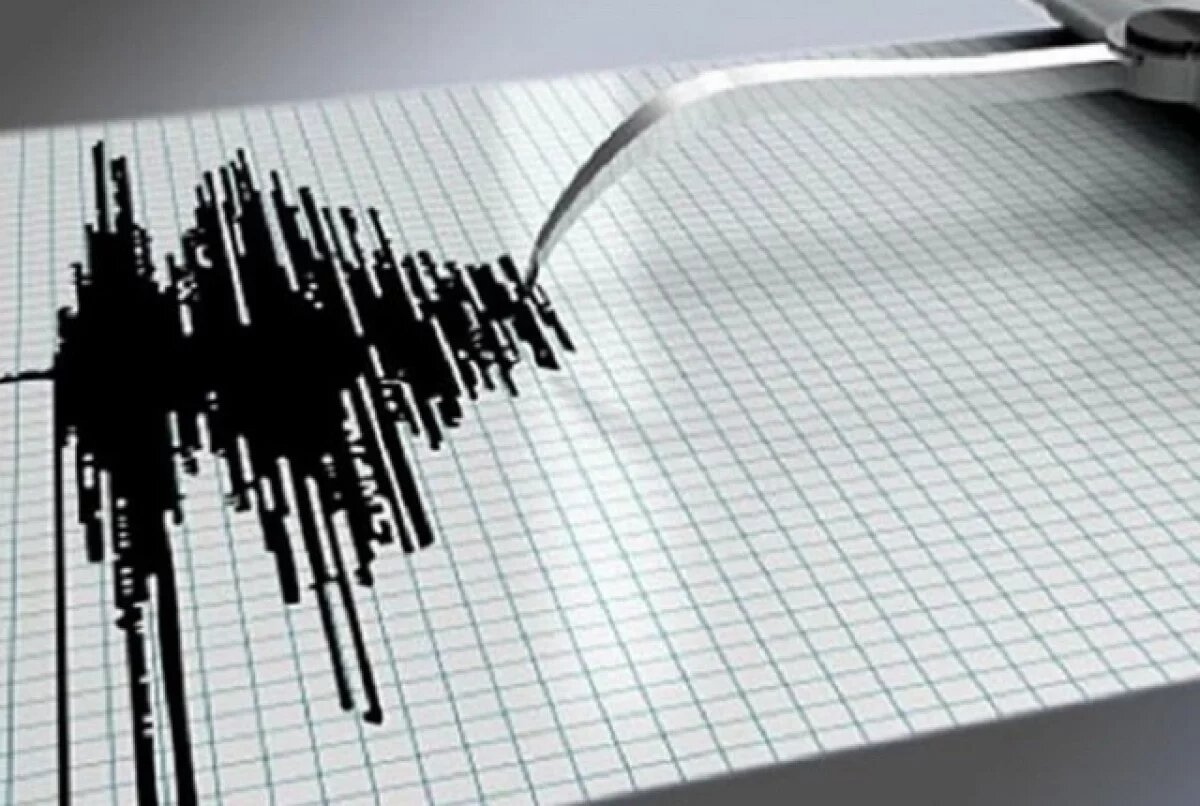    Два землетрясения произошли у берегов Камчатки под занавес 2024 года