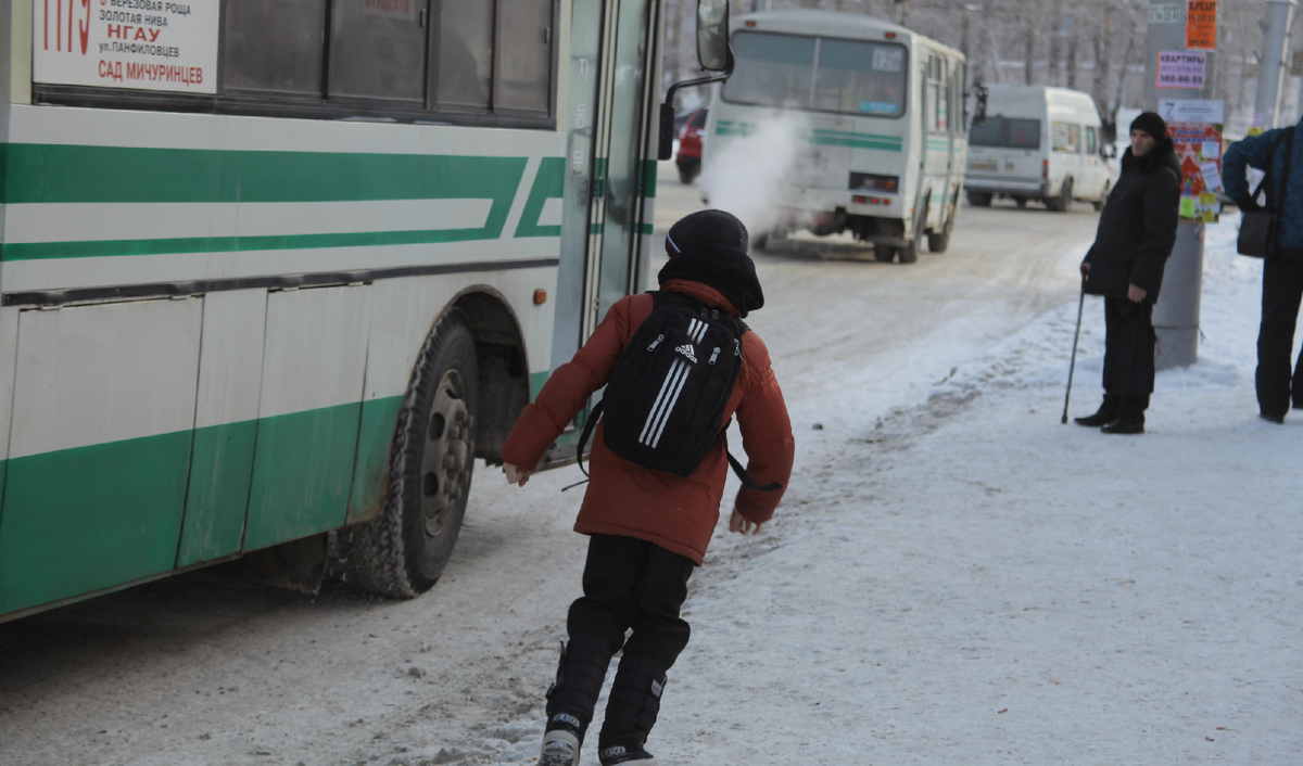 Фото: nsknews.info