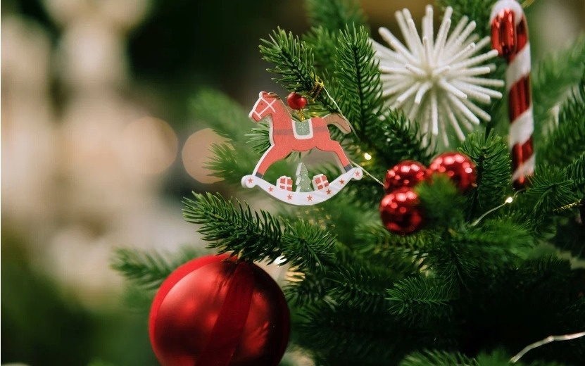    Опрос IZHLIFE: 49% ижевчан считают оливье одним из главных новогодних салатов