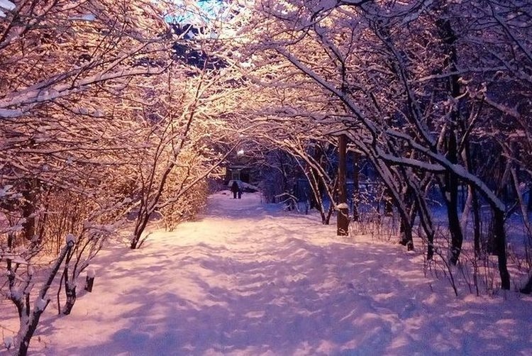    Какая погода будет на Новый год 2025