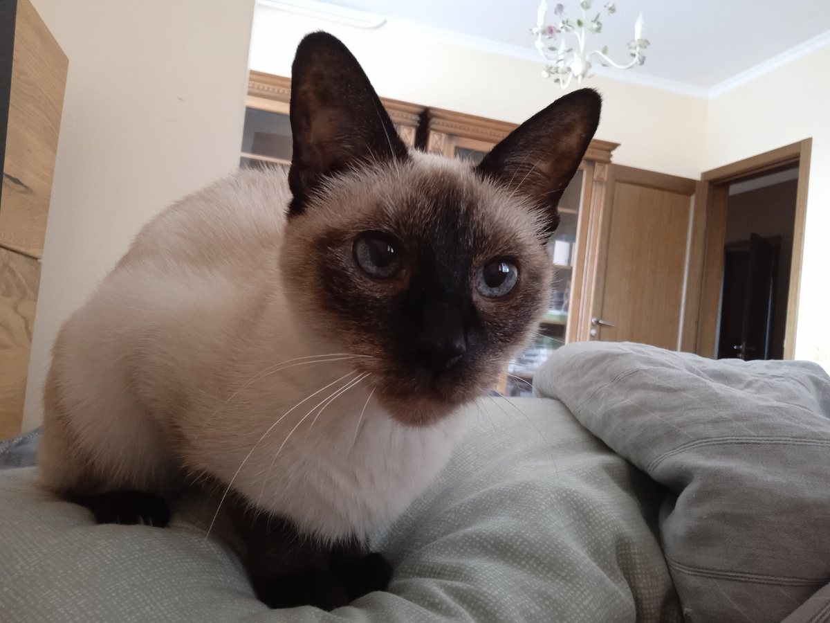 "Человек, ты ещё не встал? А я без тебя лишался."