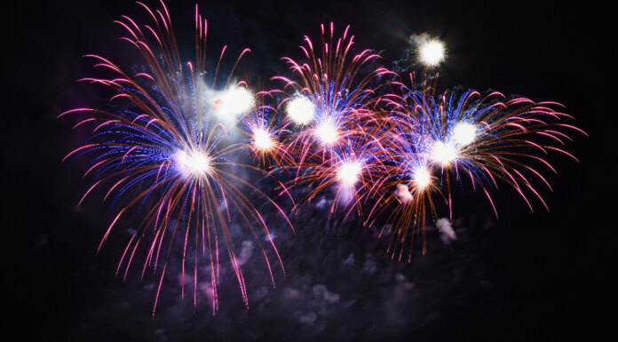   Image by montypeter on Freepik