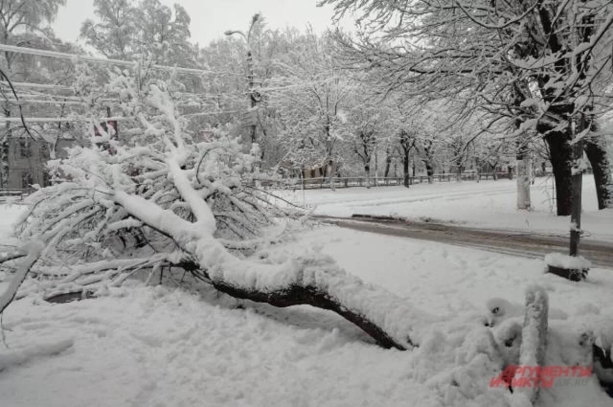    Сильный ветер оставил без света жителей нескольких районов Ленобласти