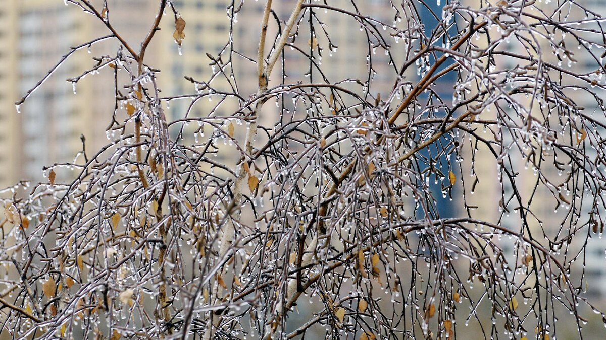    Фото: Alexander Legky, Alexander Legky/globallookpress.com