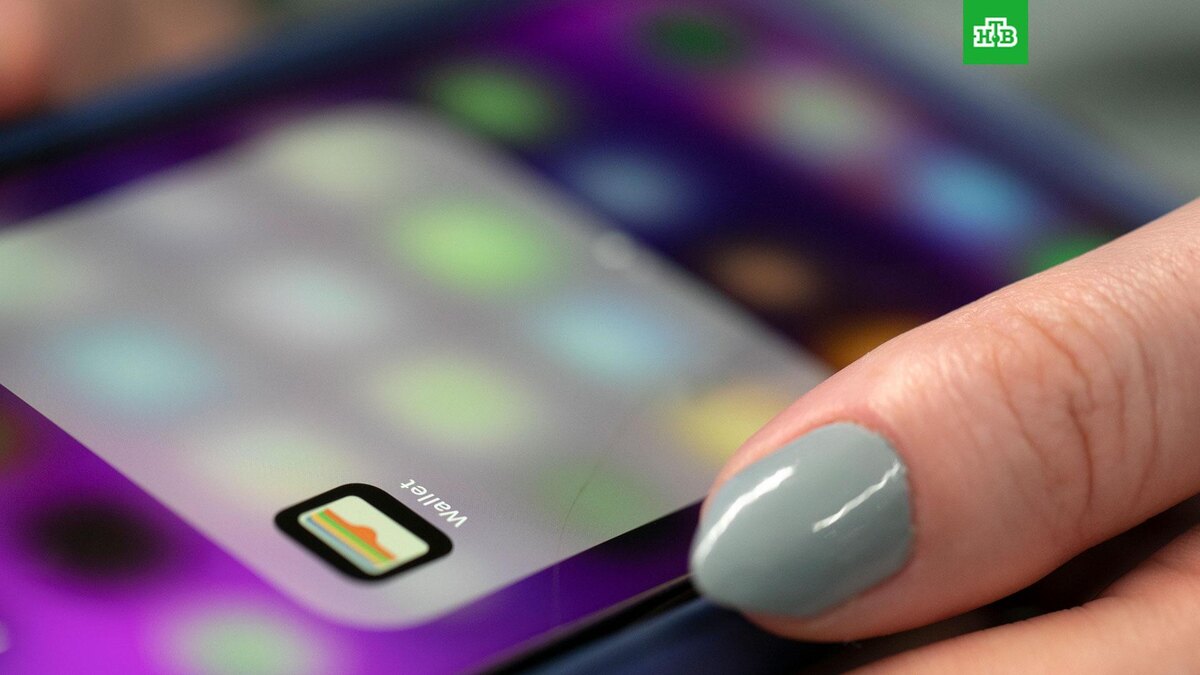    Фото: Associated Press © 2024, Jenny Kane