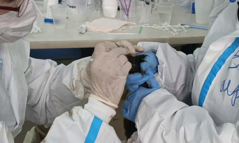    Фото t.me/opershtab23