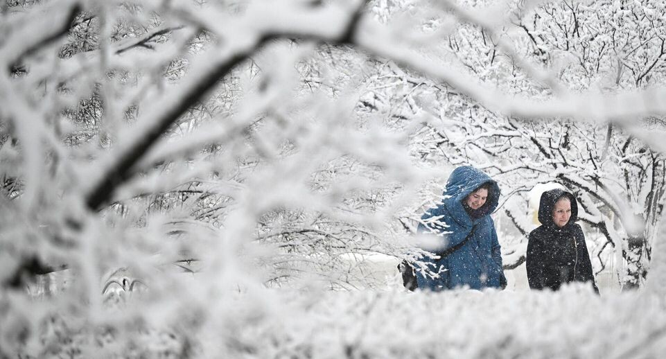    РИА «Новости»