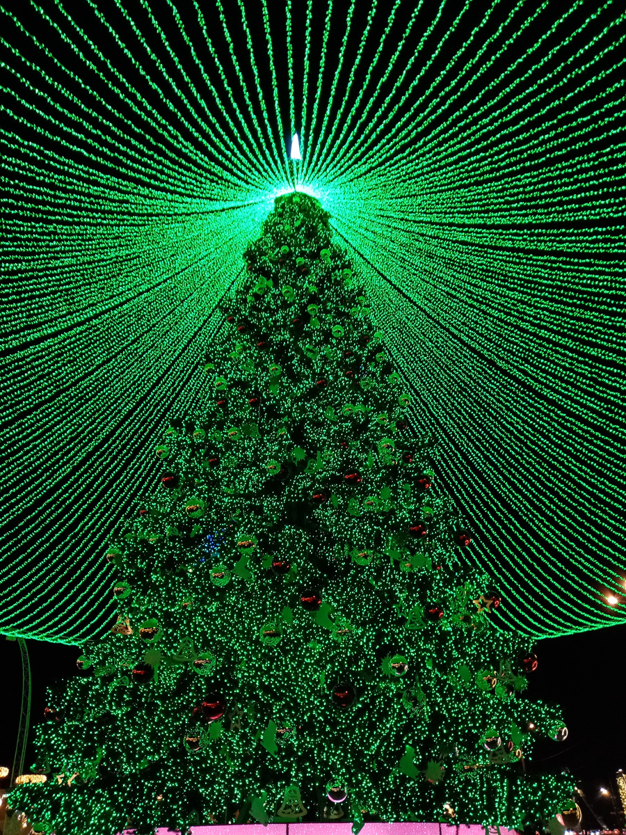 Елка у ЦПКиО им. Горького. Фото автора.