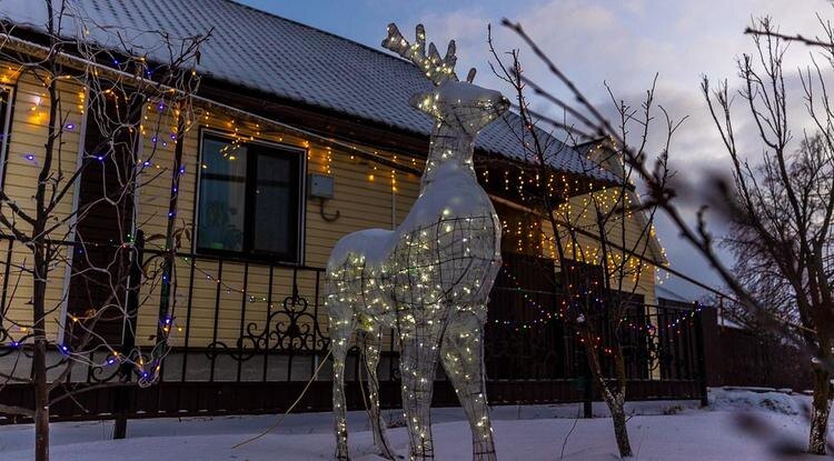 Фото: Алексей Дацковский