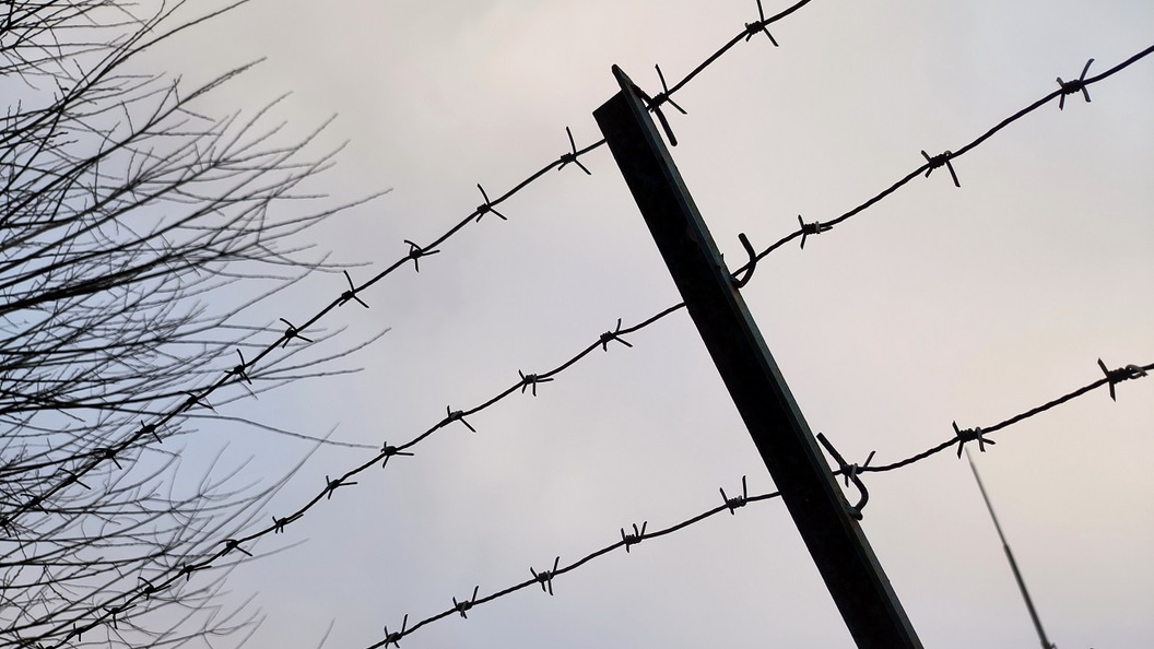    Maksim Konstantinov/Globallookpress