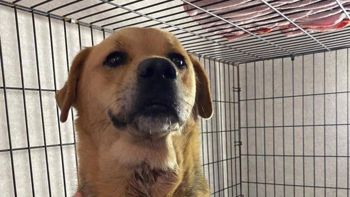 Фото: пресс-служба администрации г. Анапы