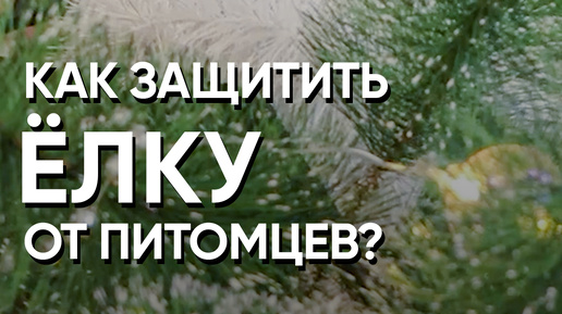 Мужчина в джунглях. Человек в дремучем лесу. Пробираться нагромождение подскочить. Просто пробираться. Просто пробираться.