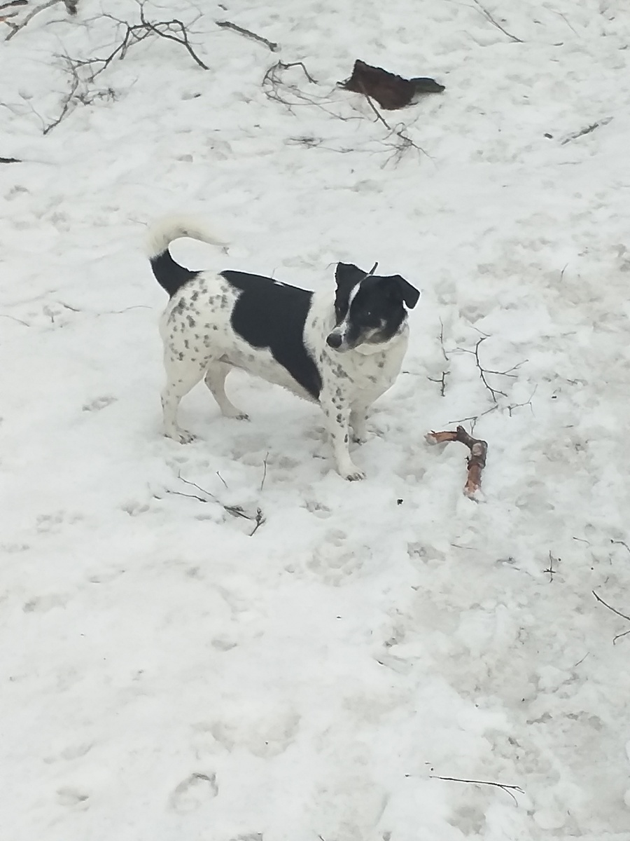 На прогулке.