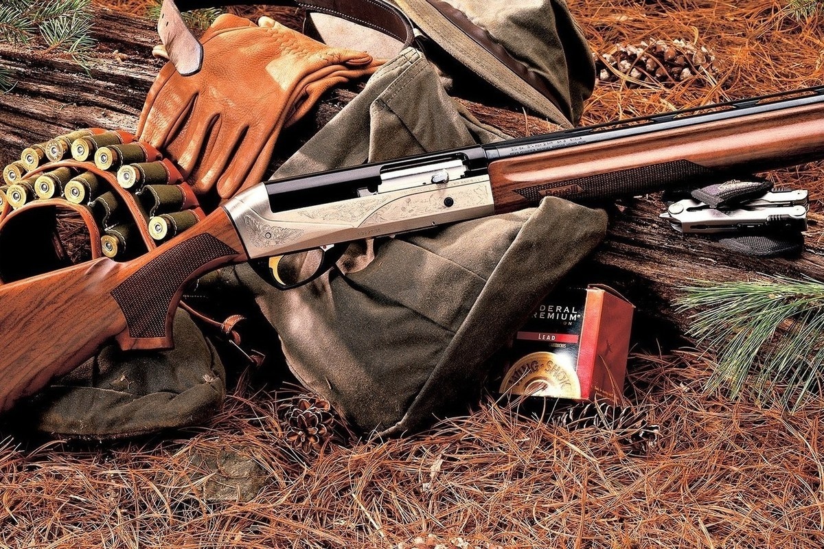 Фото из инернета 